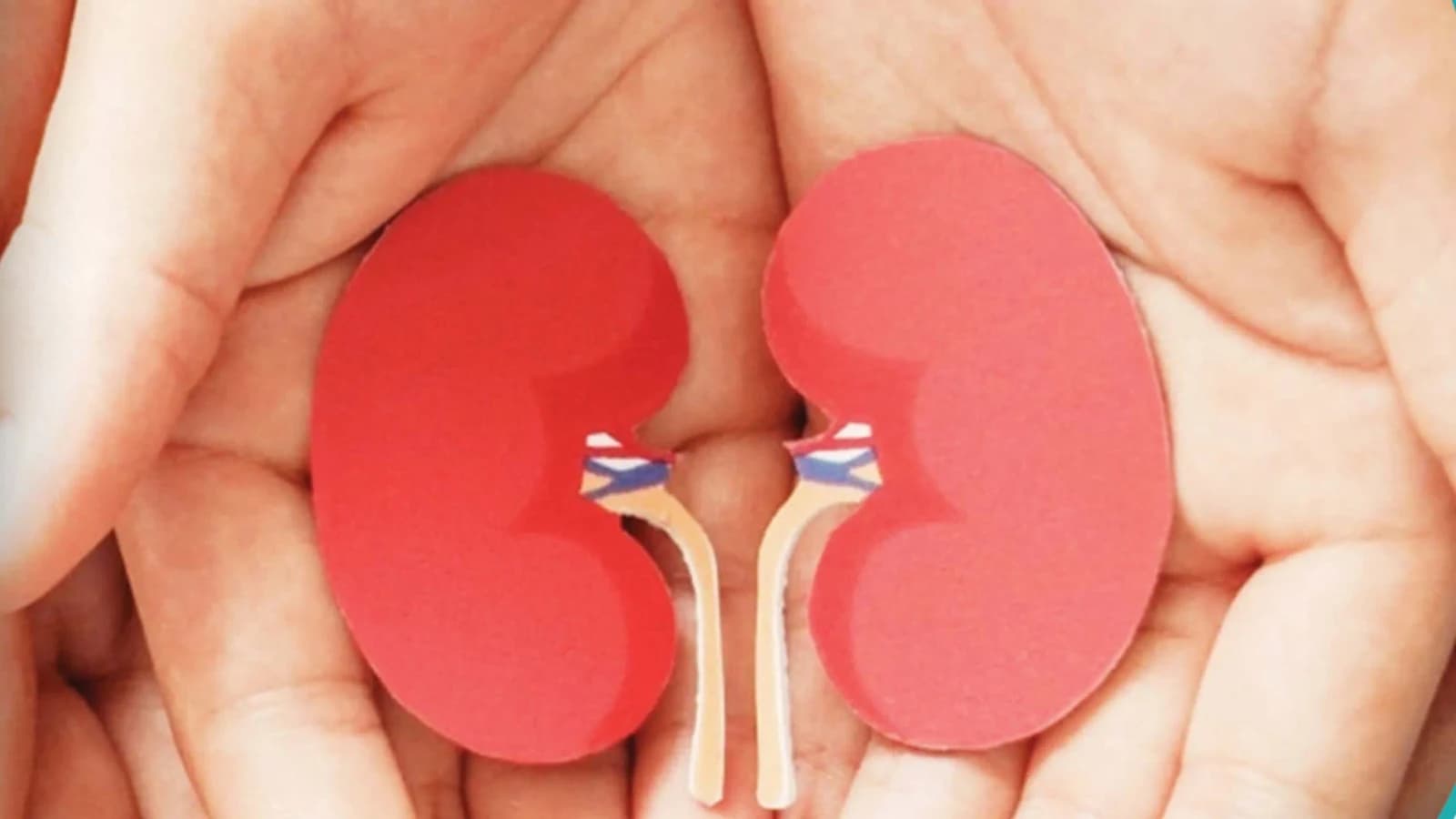 Nephrology Consultation